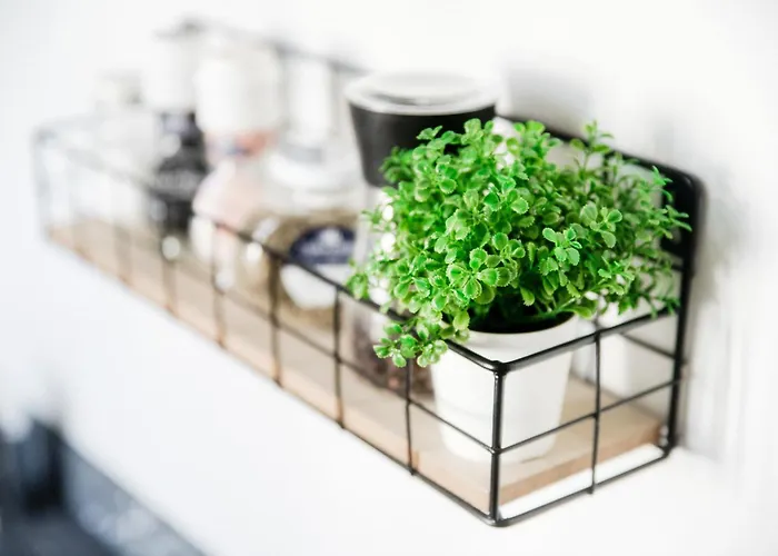 S&o - By Myhomeincomo * كومو